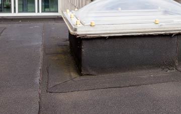 disadvantages of Iron Acton flat roofs