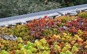 the cost of Iron Acton green roof installation