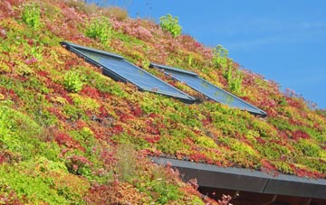 Iron Acton living roof systems