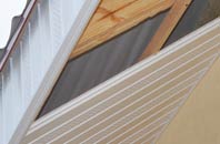 rated Iron Acton soffit repair companies